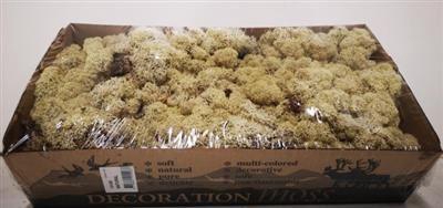 <h4>IJSLANDSMOS GEPREP. KLEIN P.DS x6</h4>