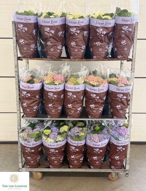 <h4>HYDR M MIXK</h4>