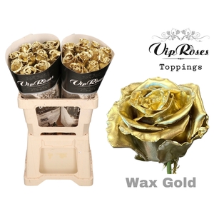 R GR WAX GOLD (60CM)