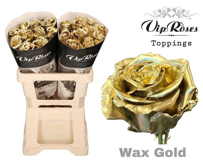 <h4>R GR WAX GOLD (60CM)</h4>