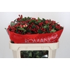 Hypericum True Romance Spray