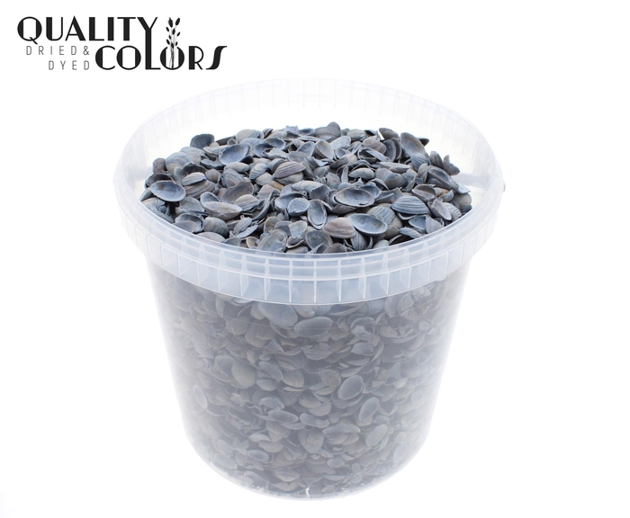 Shells north sea 10 ltr Frosted Blue