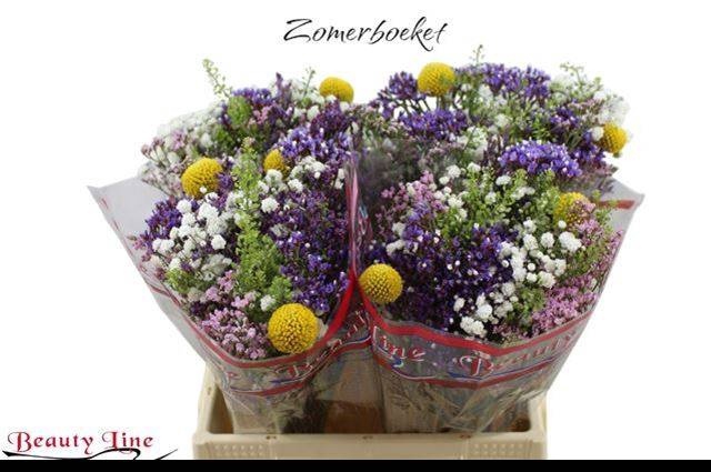 <h4>GEM ZOMERBOEKET</h4>