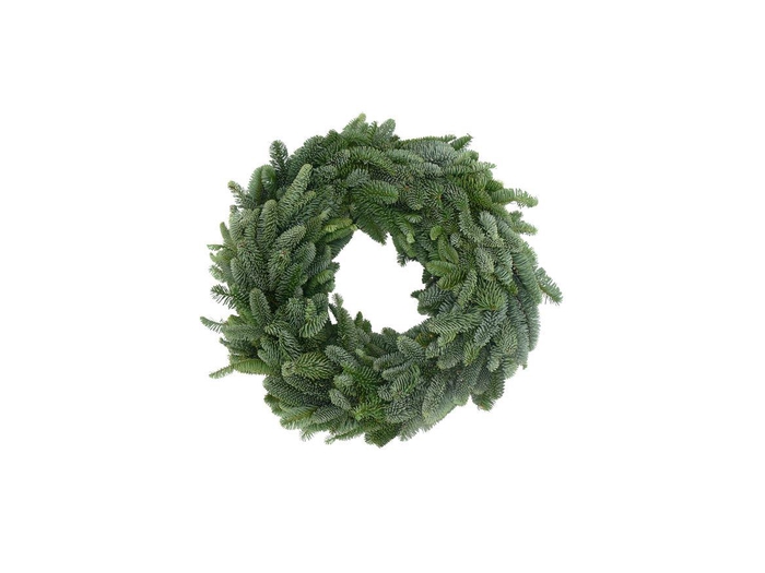 <h4>Krans Nobilis Half 30cm</h4>