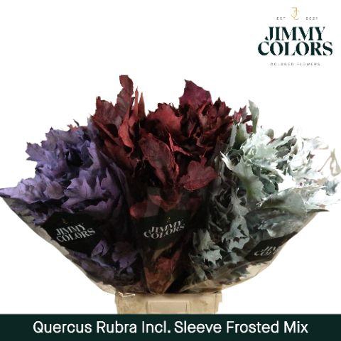 <h4>Quercus Rubra sleeve L80 Frosted Mix</h4>