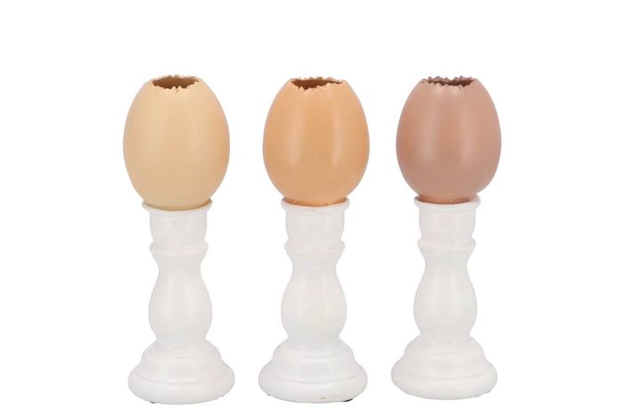 <h4>Easter Egg Trophy Natural Brown Mix Vase Ass 6x6x16cm</h4>