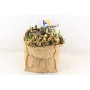 arr4 Bollenmix MB - Jute zak XL