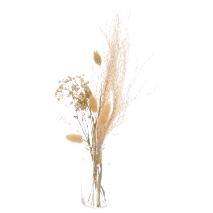 <h4>Droogbloem Glas d4.5*10.5cm/37cm</h4>