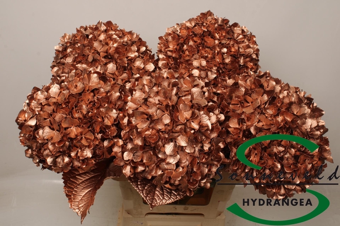 <h4>HYDR OV KLB H%</h4>