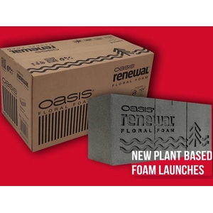 OASIS® 10-20511 RENEWAL 12 BRICKS