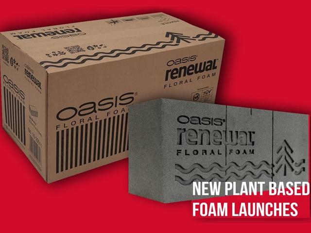 <h4>OASIS® 10-20511 RENEWAL 12 BRICKS</h4>