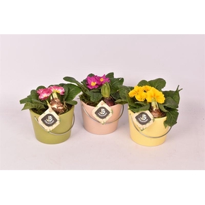 Keramiek kl.mix 12cm