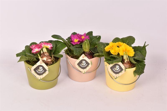 <h4>Keramiek kl.mix 12cm</h4>