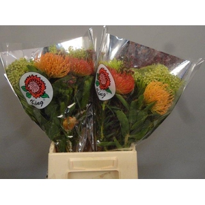 BQ Nutans 2 Flower