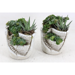 arr3 SN - Tower garden x8