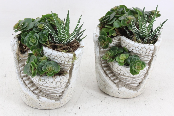 <h4>arr3 SN - Tower garden x8</h4>