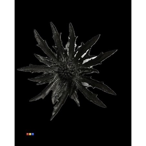 Eryngium Metallic Black