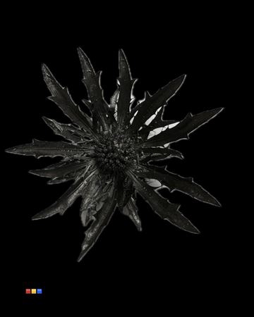 <h4>Eryngium Metallic Black</h4>