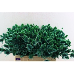 Eryn Kbh Gl Metallic Green Stem