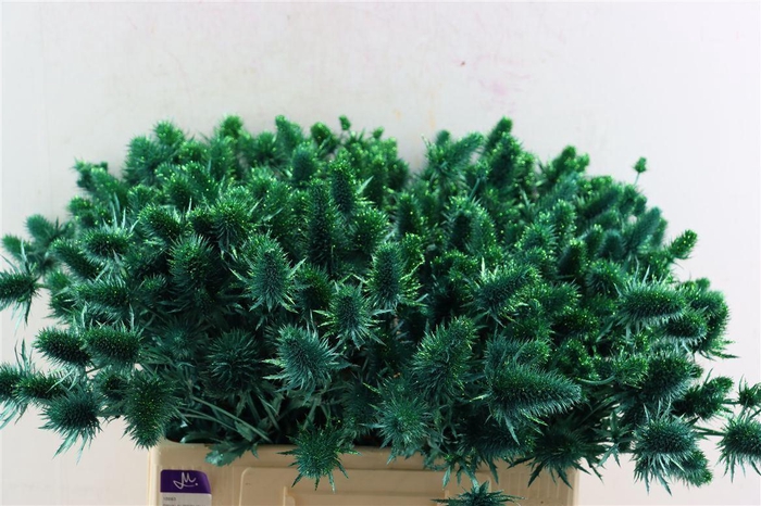 <h4>Eryn Kbh Gl Metallic Green Stem</h4>