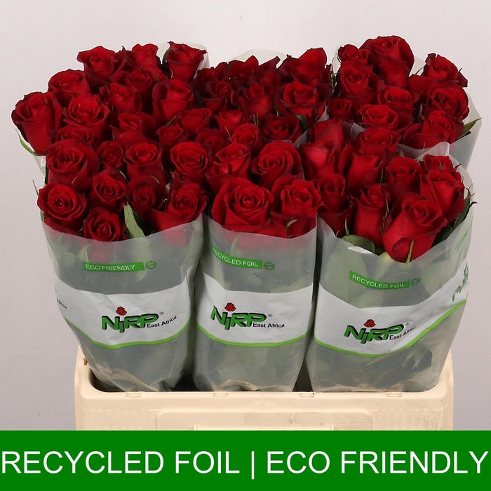 <h4>R GR CABERNET</h4>