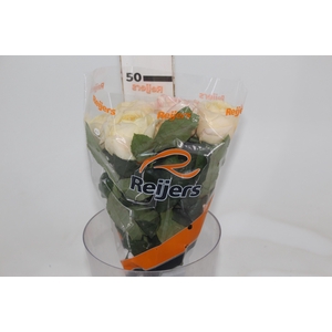 ROSA GARDEN LONDON BRIDGE 050 CM