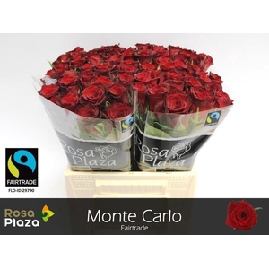 R GR MONTE CARLO