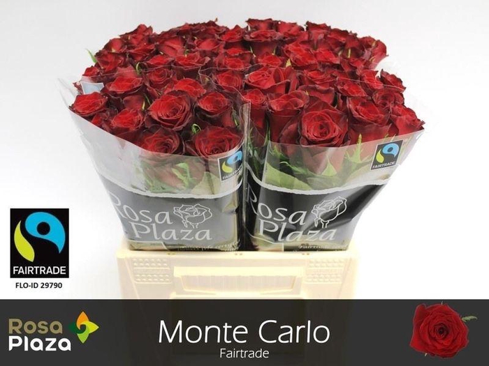 <h4>R GR MONTE CARLO</h4>