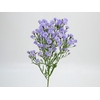 ASTER D. PLUS 050 CM MIN 20 GRAMAS