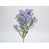 ASTER PLUS 070 CM MIN 20 GRAMAS LILAS