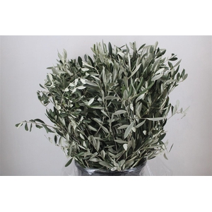 Olijf 400gr P Bunch