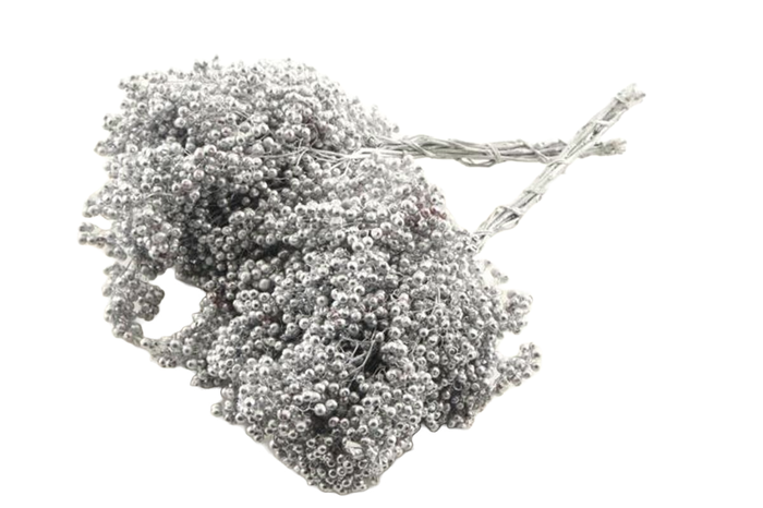 <h4>Pepperberry Silver</h4>