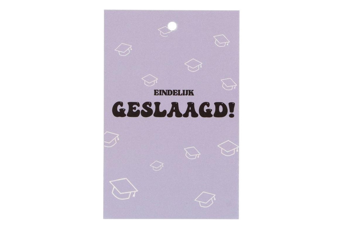 <h4>Gift Bouquet Card Geslaagd Lilac 6x9cm P/25</h4>