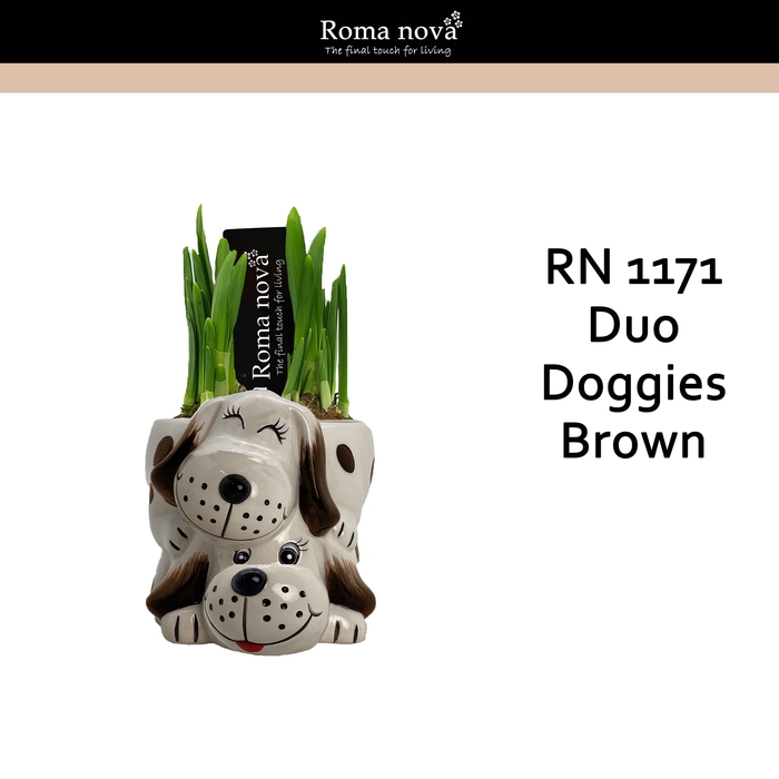 <h4>Narcis Rom 1171  Duo Doggies Brown</h4>