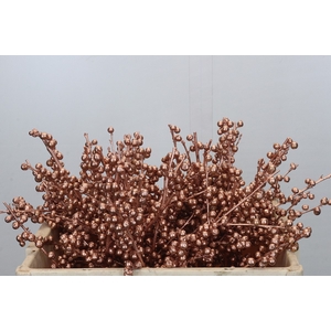 Ilex paint Copper