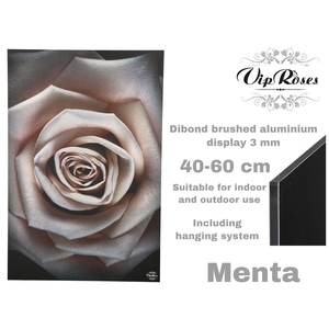 Display Menta