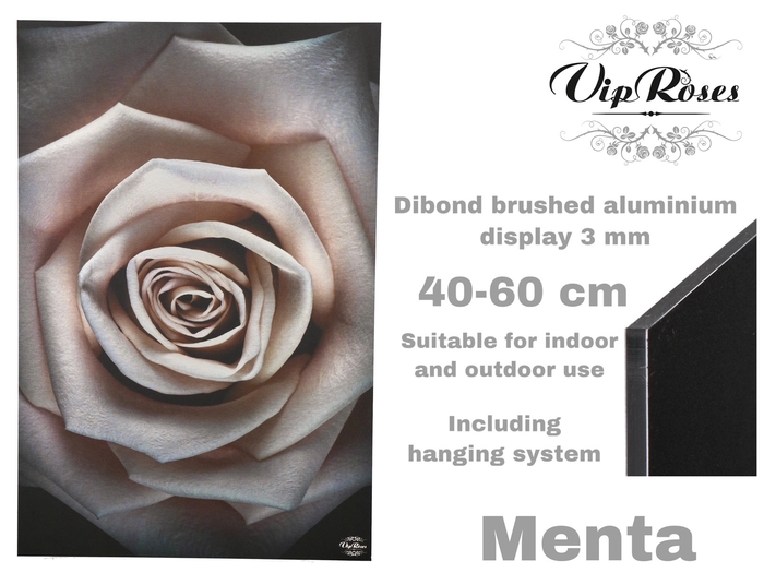 <h4>Display Menta</h4>