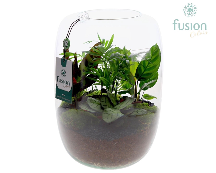 <h4>Green BottleIsabella XLarge met groene planten</h4>