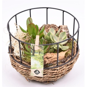 Gaasmand met touw 18cm