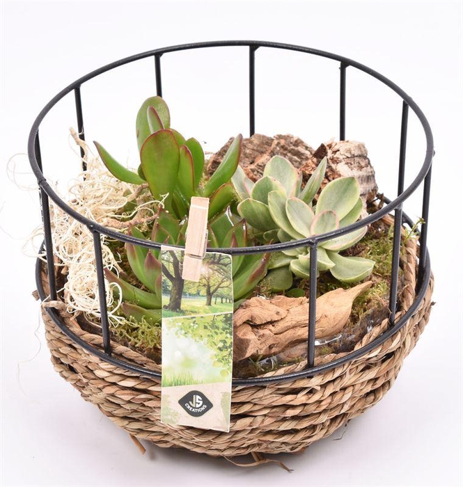 <h4>Gaasmand met touw 18cm</h4>