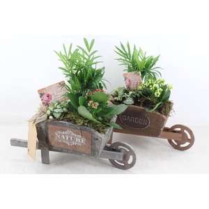 Arr2 Td - Houten Kruiwagen - Roze/wit