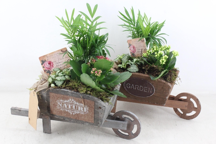 Arr2 Td - Houten Kruiwagen - Roze/wit