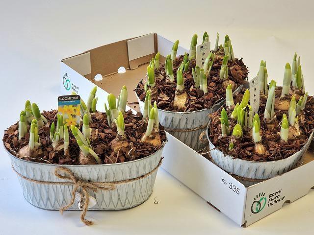 <h4>ARR N TETE A TETE</h4>