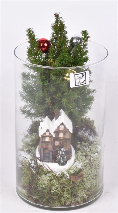 <h4>Glas cilinder 14 hoog 25</h4>