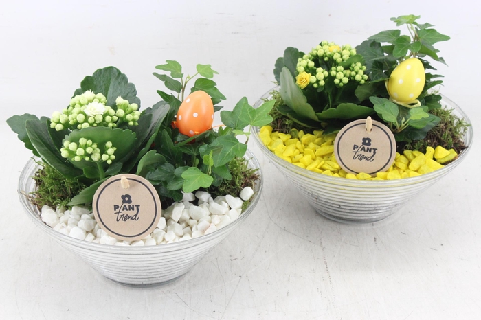 <h4>arr2 PL - Glas ribbel schaal - geel/wit</h4>