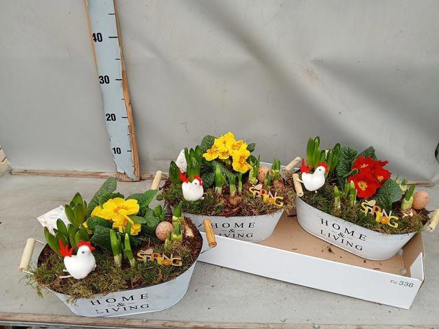 <h4>ARR BOL KNOLGEWAS</h4>