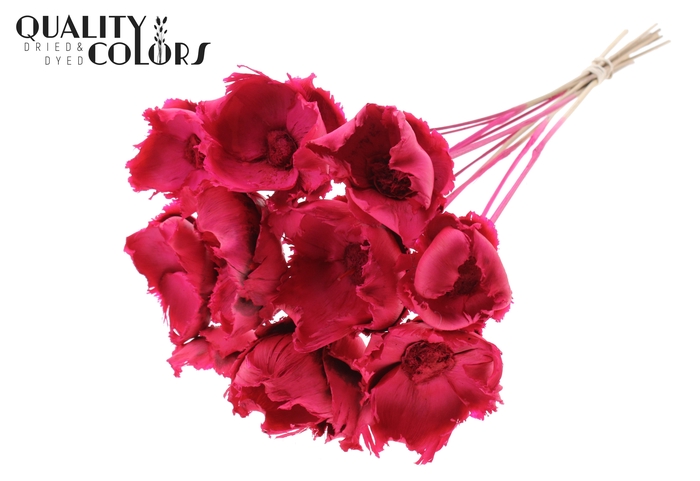 Palm cup on stem Intense Cerise
