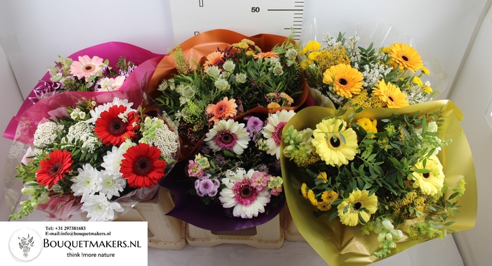 <h4>GEM BOEKET OV</h4>