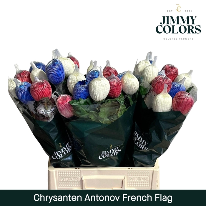 <h4>Chr G Antonov French Flag</h4>