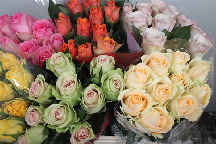 <h4>R Gr Gemengd In Fust</h4>